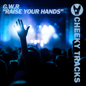 Raise Your Hands (Radio Edit)