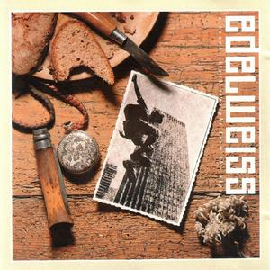 Bring Me Edelweiss (Extended Tourist Version)