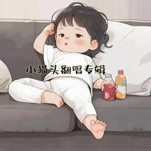 熊猫与傻瓜_小猫头版