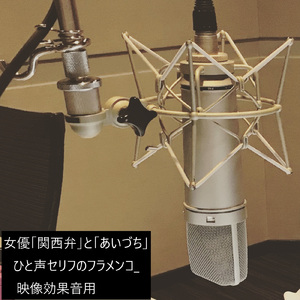 女優「関西弁」と「相づち」ひと声セリフのフラメンコ_映像効果音用 (feat. 足立 秀樹)