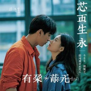 找不着北 (烟嗓版)