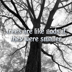 trees are like gods if they were smaller