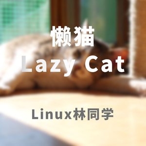 Lazy Cat