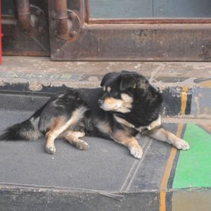 Smoke On The Ceiling