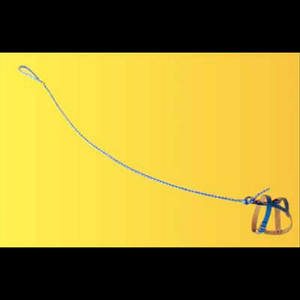 Spotless (My Invisible Dog)