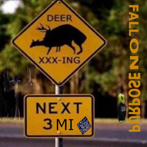 Skyway Crossin' (Feat. Vicki Scuteri, Funky Funkarella, Matthew Bistok & Anthony Russ)