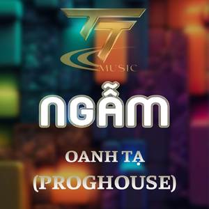 NGẪM (HM REMIX) (PROGHOUSE REMIX)