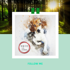 발톱이 빠져서 괴로운 팻이 듣는 음악