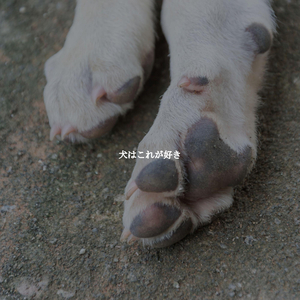 Sultry Son Montuno Trumpet - Vibe for Balancing Chai