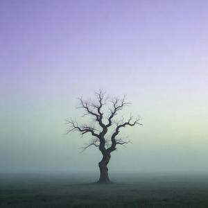 就让他（随着风慢慢飘走吧）