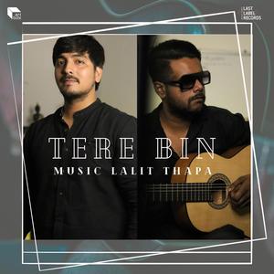 Tere Bin (feat. Govind Negi & Sagar)