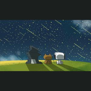 流星群に会えた夏