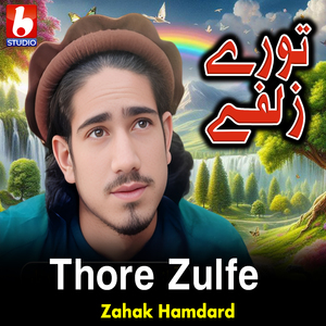 Thore Zulfe