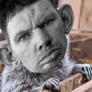 Енотик паласкун