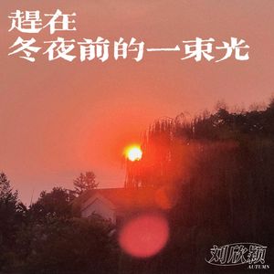 赶在冬夜前的一束光