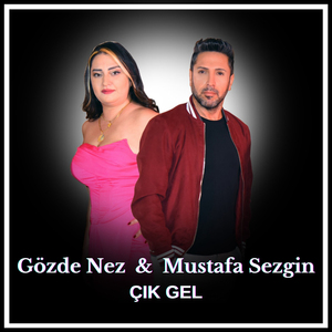 Çık Gel
