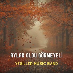 Aylar Oldu Görmeyeli