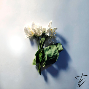 На этих фото