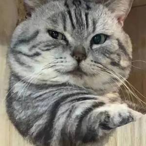 曾经你说（Live）