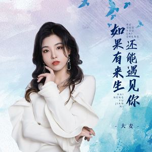 如果有来生还能遇见你 (伴奏)