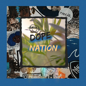 Dumpy Bumpy (Bori The Cat)