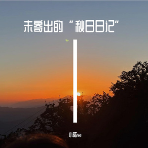 未寄出的“秋日日记”