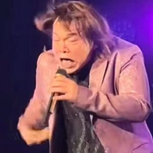 伍佰的鸟窝
