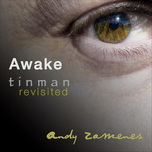 Awake (feat. Tinman)