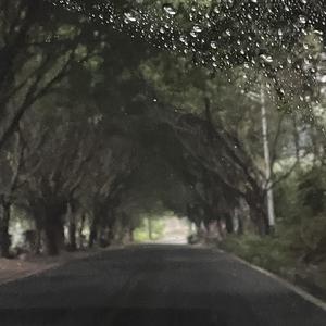自白书（cover 姜云升）