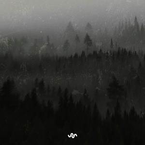 Night Air
