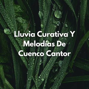Sanación Bajo La Lluvia