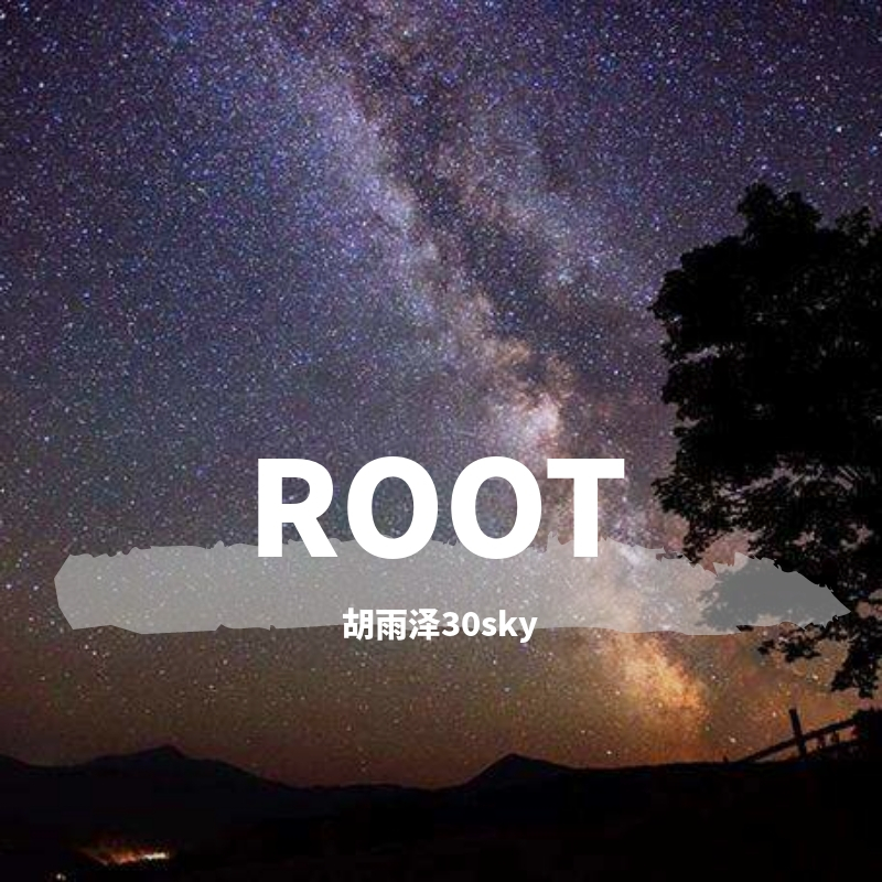 Root胡雨泽30Sky封面
