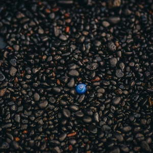 1 in a Million