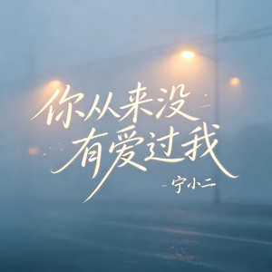 你从来没有爱过我DJ版