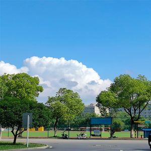 无论何时 都想你