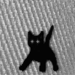 释怀（prod by Morrow）