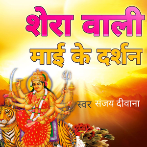 शेरा वाली माई के दर्शन