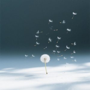 她走了未必不是件好事