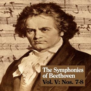 Symphony No. 7 in A Major, Op. 92: II. Allegretto