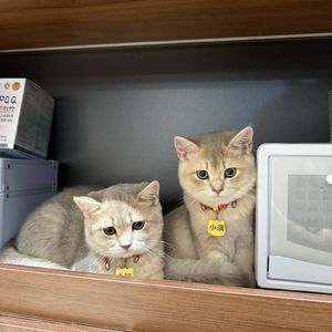 温柔的抵达与离开