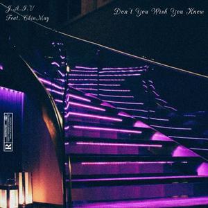 Don't You Wish You Knew