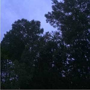 4.36 AM