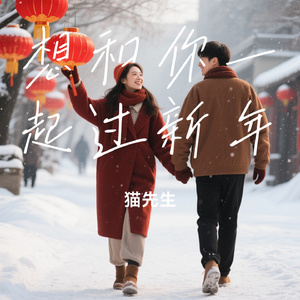 想和你一起过新年