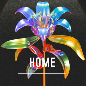 Home