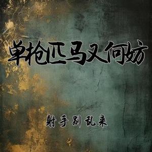 单枪匹马又何妨