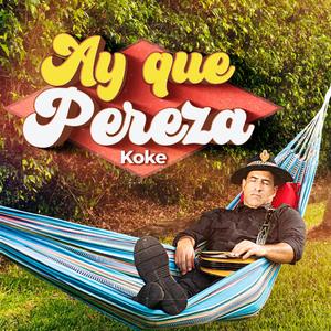 Ay que pereza