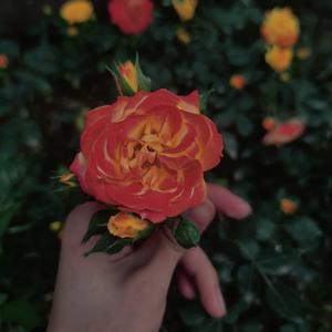 爱总是身不由己-Future（remix）（爱总是身不由己 remix）