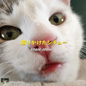腐りかけたシチュー