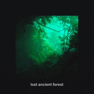 Lost Ancient Forest