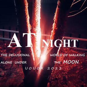 今夜时光